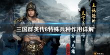 《三國群英傳8》特殊兵種是什么，特殊兵種作用