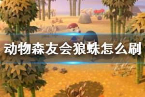 《集合啦動物森友會》狼蛛怎么刷？刷狼蛛技巧心得詳解