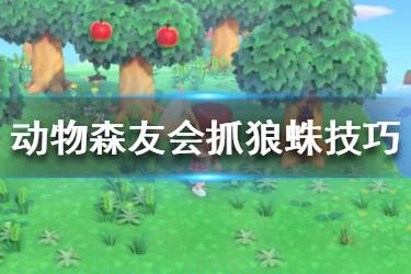 《集合啦動物森友會》狼蛛在哪里捉？狼蛛島抓狼蛛技巧