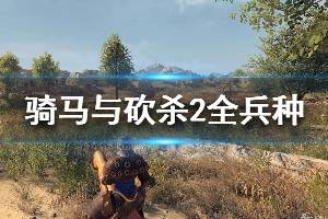 《騎馬與砍殺2》兵種有哪些 全兵種優(yōu)缺點分析