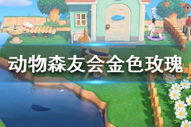 《集合啦動物森友會》金色玫瑰怎么種 金色玫瑰種植方法介紹