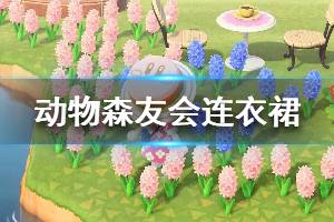 《集合啦動物森友會》全連衣裙價格分享 連衣裙有哪些