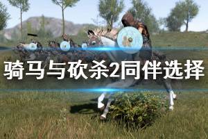 《騎馬與砍殺2》同伴選擇推薦 同伴怎么選擇