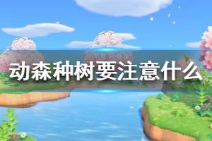 《集合啦動物森友會》種樹要注意什么 種樹技巧介紹