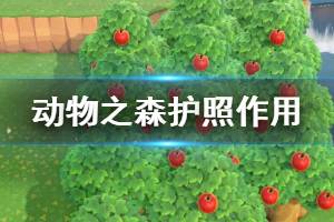 《集合啦動物森友會》護照有什么用 護照作用介紹