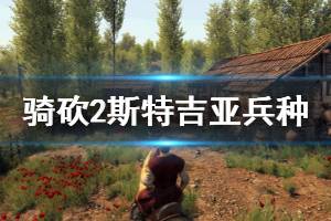 《騎馬與砍殺2》斯特吉亞兵種強度怎么樣 斯特吉亞兵種戰(zhàn)術(shù)打法介紹