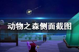 《集合啦動物森友會》怎么從側面截圖 側面截圖方法介紹