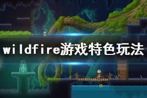 《Wildfire》游戲怎么樣？游戲特色玩法簡單介紹