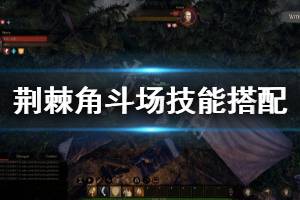 《黑荊棘角斗場》武器技能怎么搭配 技能武器搭配心得分享