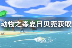 《集合啦動物森友會》夏天貝殼怎么獲得 夏天貝殼獲取方法介紹