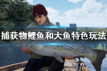 《捕獲物鯉魚和大魚》好玩嗎？特色玩法內(nèi)容介紹