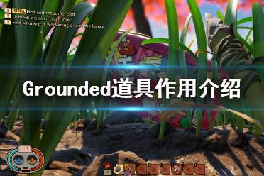 《禁閉求生》道具有哪些？Grounded道具作用介紹