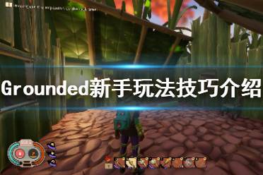 《禁閉求生》新手怎么玩？新手玩法技巧介紹