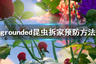 《禁閉求生》昆蟲拆家怎么辦 grounded昆蟲拆家預防方法一覽