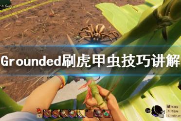 《禁閉求生》虎甲蟲怎么刷？Grounded刷虎甲蟲技巧講解