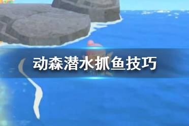 《集合啦動物森友會》潛水怎么抓東西 動森潛水抓魚技巧