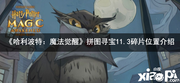 《哈利波特：邪術(shù)覺(jué)醒》2021拼圖尋寶11.3碎片位置先容