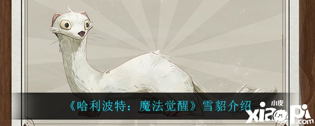 《哈利波特：邪術覺醒》雪貂先容