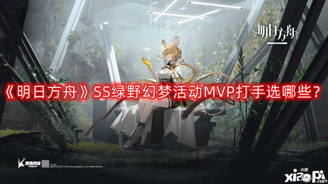 《嫡方舟》SS綠野幻境勾當(dāng)MVP打手選哪些？SS綠野幻境勾當(dāng)MVP打手推薦