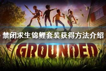 修復(fù)材料為1個(gè)大葉藻條、1個(gè)錦鯉鱗片